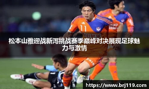 MILE米乐官方网站