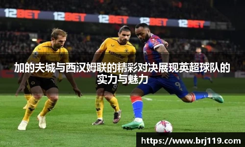 MILE米乐官方网站